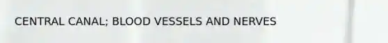 CENTRAL CANAL; BLOOD VESSELS AND NERVES