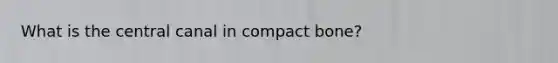 What is the central canal in compact bone?