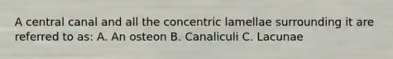 A central canal and all the concentric lamellae surrounding it are referred to as: A. An osteon B. Canaliculi C. Lacunae