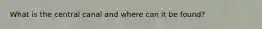 What is the central canal and where can it be found?