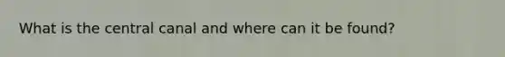 What is the central canal and where can it be found?