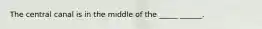 The central canal is in the middle of the _____ ______.