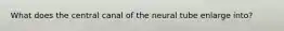 What does the central canal of the neural tube enlarge into?