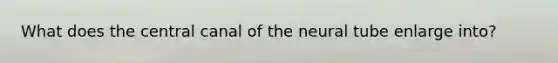 What does the central canal of the neural tube enlarge into?