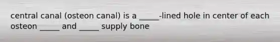 central canal (osteon canal) is a _____-lined hole in center of each osteon _____ and _____ supply bone