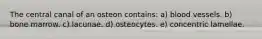 The central canal of an osteon contains: a) blood vessels. b) bone marrow. c) lacunae. d) osteocytes. e) concentric lamellae.