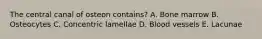 The central canal of osteon contains? A. Bone marrow B. Osteocytes C. Concentric lamellae D. Blood vessels E. Lacunae