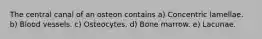 The central canal of an osteon contains a) Concentric lamellae. b) Blood vessels. c) Osteocytes. d) Bone marrow. e) Lacunae.