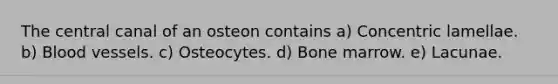 The central canal of an osteon contains a) Concentric lamellae. b) Blood vessels. c) Osteocytes. d) Bone marrow. e) Lacunae.