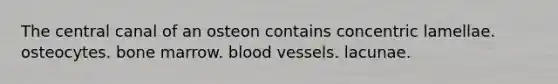 The central canal of an osteon contains concentric lamellae. osteocytes. bone marrow. blood vessels. lacunae.