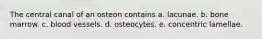 The central canal of an osteon contains a. lacunae. b. bone marrow. c. blood vessels. d. osteocytes. e. concentric lamellae.