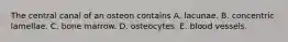 The central canal of an osteon contains A. lacunae. B. concentric lamellae. C. bone marrow. D. osteocytes. E. blood vessels.