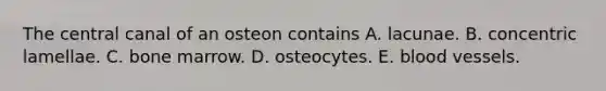 The central canal of an osteon contains A. lacunae. B. concentric lamellae. C. bone marrow. D. osteocytes. E. <a href='https://www.questionai.com/knowledge/kZJ3mNKN7P-blood-vessels' class='anchor-knowledge'>blood vessels</a>.