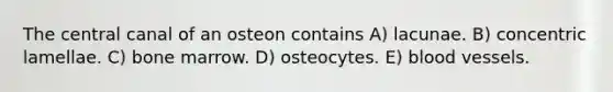 The central canal of an osteon contains A) lacunae. B) concentric lamellae. C) bone marrow. D) osteocytes. E) blood vessels.