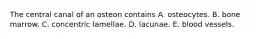 The central canal of an osteon contains A. osteocytes. B. bone marrow. C. concentric lamellae. D. lacunae. E. blood vessels.