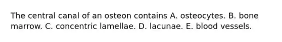 The central canal of an osteon contains A. osteocytes. B. bone marrow. C. concentric lamellae. D. lacunae. E. blood vessels.