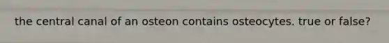 the central canal of an osteon contains osteocytes. true or false?