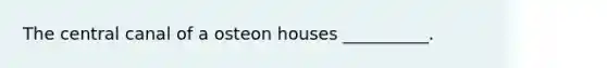 The central canal of a osteon houses __________.