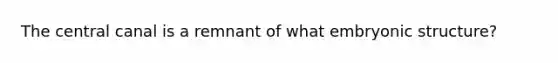 The central canal is a remnant of what embryonic structure?
