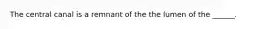 The central canal is a remnant of the the lumen of the ______.