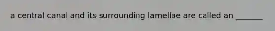 a central canal and its surrounding lamellae are called an _______
