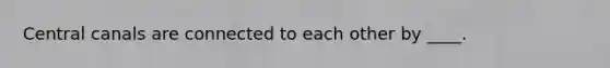 Central canals are connected to each other by ____.