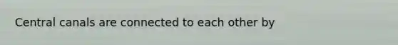 Central canals are connected to each other by