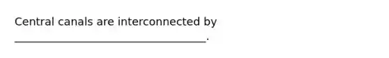 Central canals are interconnected by ___________________________________.