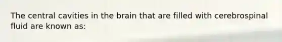 The central cavities in the brain that are filled with cerebrospinal fluid are known as: