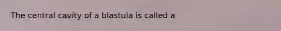 The central cavity of a blastula is called a