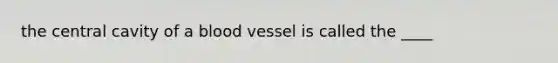 the central cavity of a blood vessel is called the ____