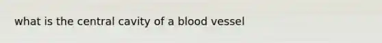 what is the central cavity of a blood vessel