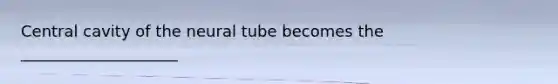 Central cavity of the neural tube becomes the ____________________