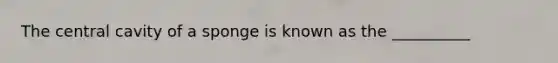 The central cavity of a sponge is known as the __________