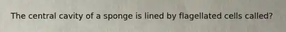 The central cavity of a sponge is lined by flagellated cells called?