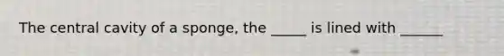 The central cavity of a sponge, the _____ is lined with ______