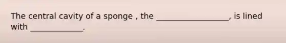 The central cavity of a sponge , the __________________, is lined with _____________.