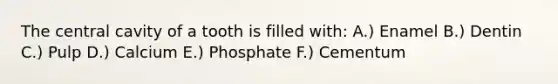 The central cavity of a tooth is filled with: A.) Enamel B.) Dentin C.) Pulp D.) Calcium E.) Phosphate F.) Cementum
