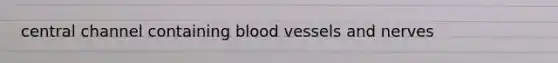 central channel containing blood vessels and nerves