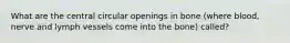 What are the central circular openings in bone (where blood, nerve and lymph vessels come into the bone) called?