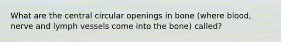 What are the central circular openings in bone (where blood, nerve and lymph vessels come into the bone) called?