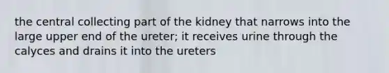 the central collecting part of the kidney that narrows into the large upper end of the ureter; it receives urine through the calyces and drains it into the ureters