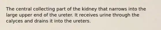 The central collecting part of the kidney that narrows into the large upper end of the ureter. It receives urine through the calyces and drains it into the ureters.