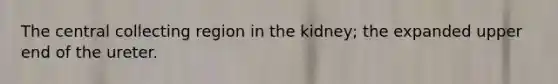 The central collecting region in the kidney; the expanded upper end of the ureter.