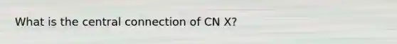 What is the central connection of CN X?