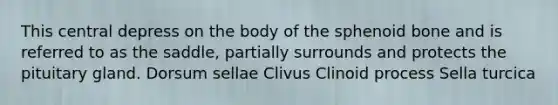 This central depress on the body of the sphenoid bone and is referred to as the saddle, partially surrounds and protects the pituitary gland. Dorsum sellae Clivus Clinoid process Sella turcica