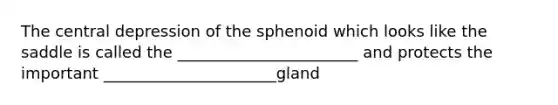 The central depression of the sphenoid which looks like the saddle is called the _______________________ and protects the important ______________________gland