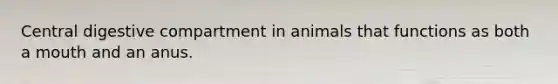 Central digestive compartment in animals that functions as both a mouth and an anus.