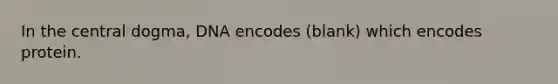 In the central dogma, DNA encodes (blank) which encodes protein.