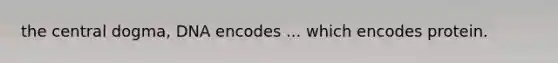 the central dogma, DNA encodes ... which encodes protein.